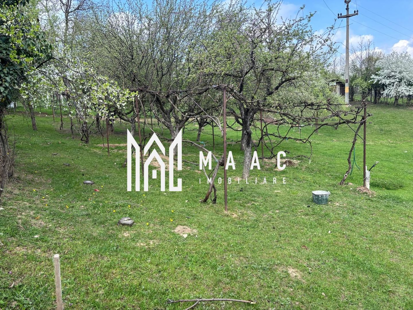 Teren | Intravilan | 855 MP - Poză 8