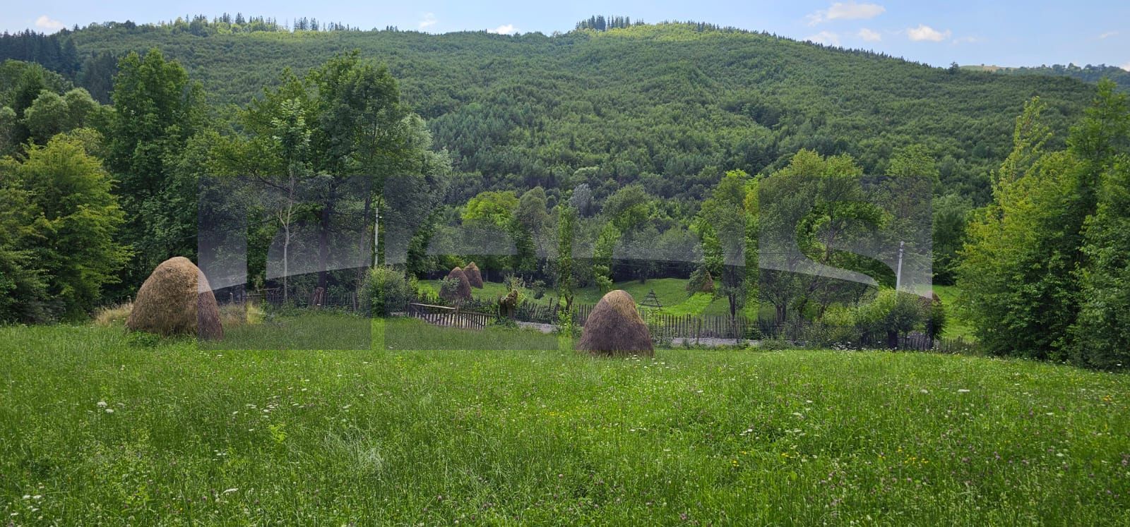 VANZARE 5 LOTURI TEREN PENTRU CASE DE VACANTE | TESILA | VALEA DOFTANEI | - Poză 1