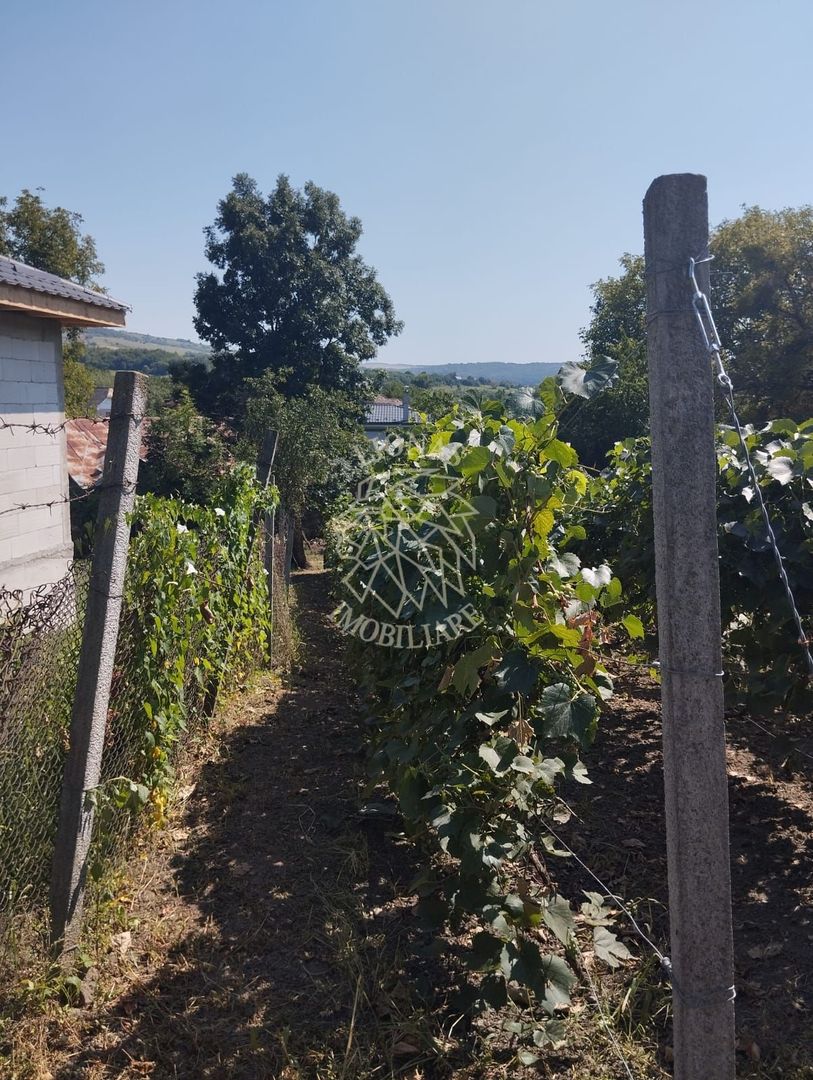 Teren intravilan 2828 mp+autorizatie casa-anexe-livada-Dorolea - Poză 5