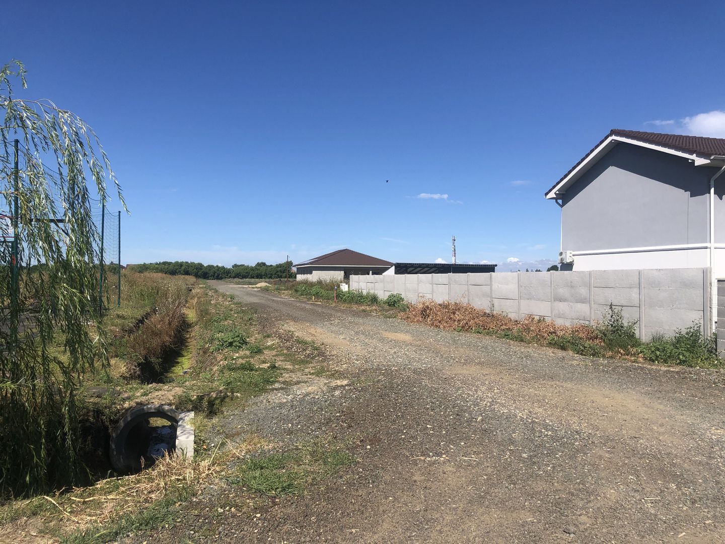 Teren  Sanandrei- zona str Lalelelor-1390 mp - Poză 5