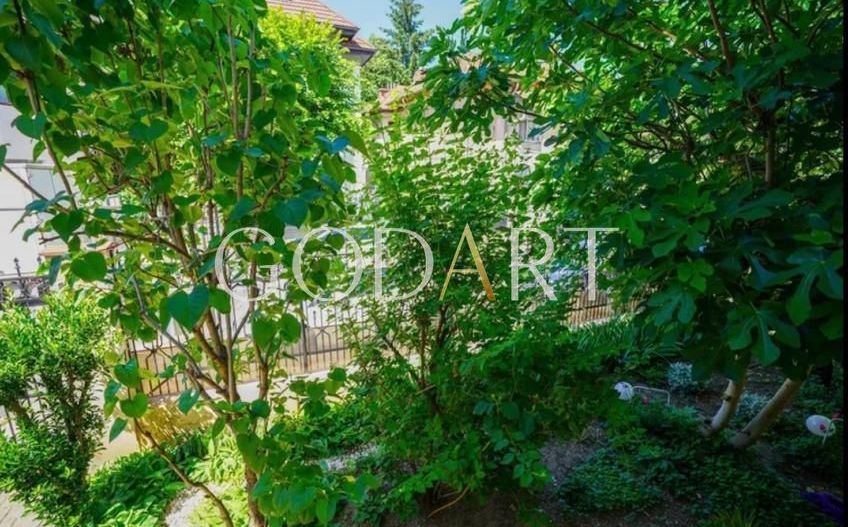 Vila Reprezentativa | Dorobanti | Capitale - Poză 4