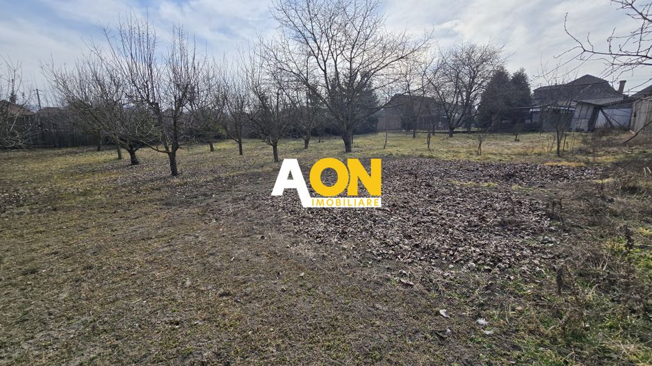 Casa 3 camere 2600mp Teren, Gura Ariesului - Poză 16