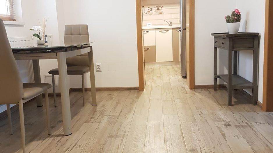 Apartament 2 camere de inchiriat, Pet Friendly, Piata Victoriei - Poză 3