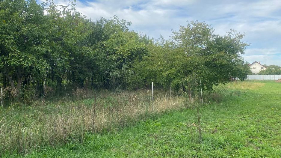 Casă de vânzare în Răzvad, la o distanta mica fata de oras! - Poză 10