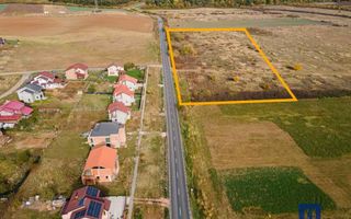 Teren pentru parcelare, 19000 mp, Pișchia, comision 0 - Poză 6