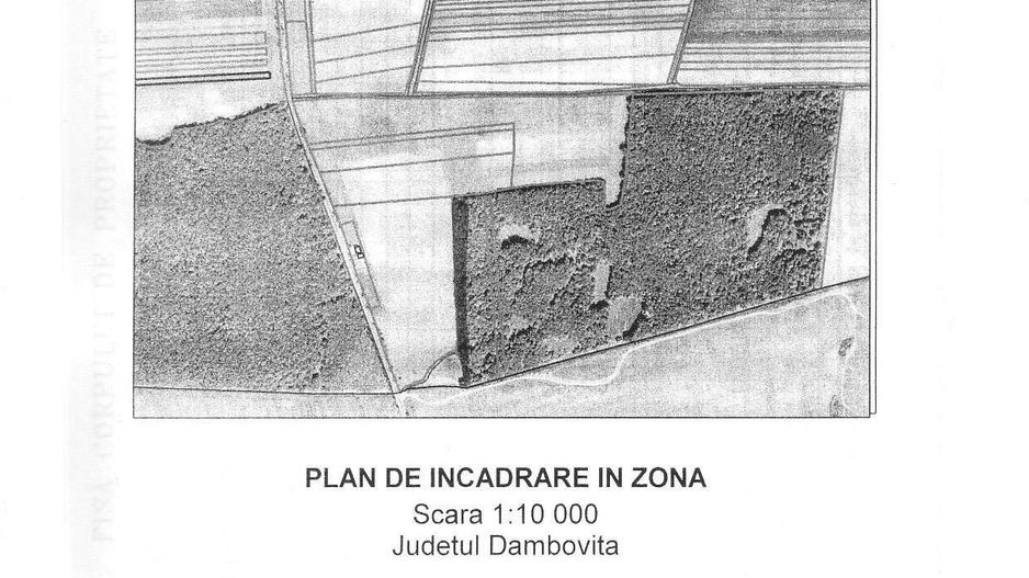 Teren extravilan 10.000 mp - Lucianca - Butimanu - Poză 4