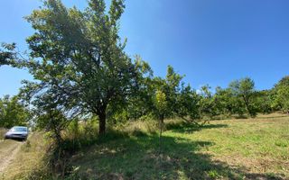 Teren intravilan 1300 mp-parcelabil-Viile cu Pomi-Unirea-Exclusiv - Poză 4