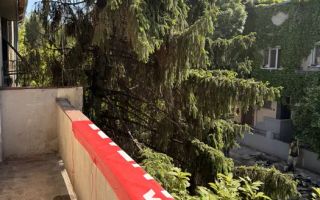 Apartament in vila I D+P+1+M I Etaj 1 I Decebal - Poză 4