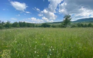 Teren 6500 mp-Lac-vedere panoramica-ideal cabana-Cusma - Poză 6