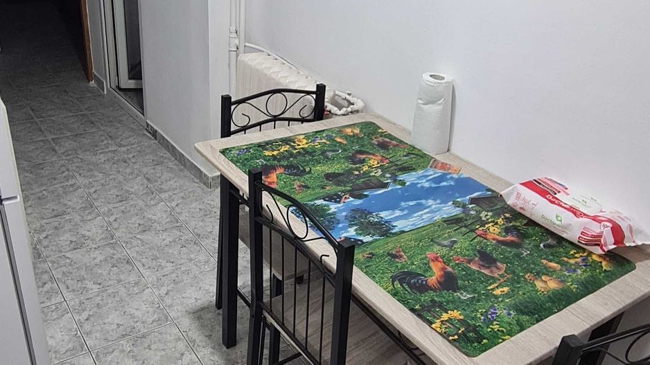 Inchiriere apartament 2 camere Lujerului - Poză 7