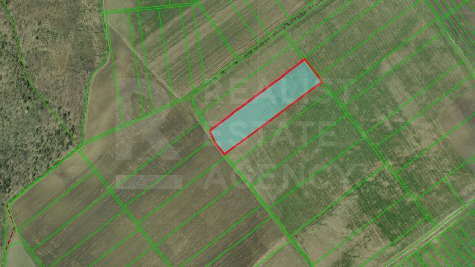 Vânzare, teren agricol, 150 ari, satul Colonița - Poză 2