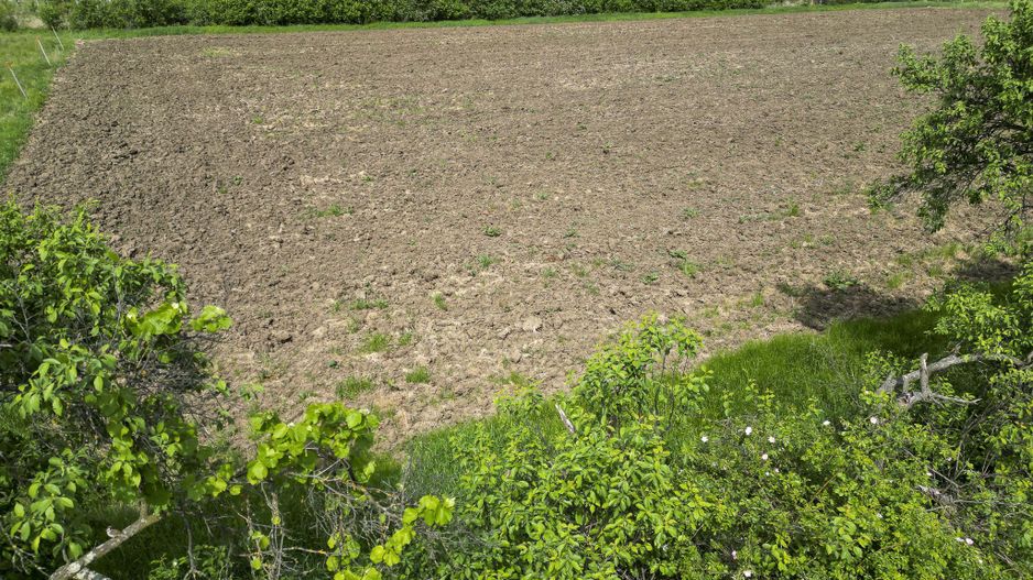 Teren Intravilan de 3,090 mp în Cuvin - Poză 18