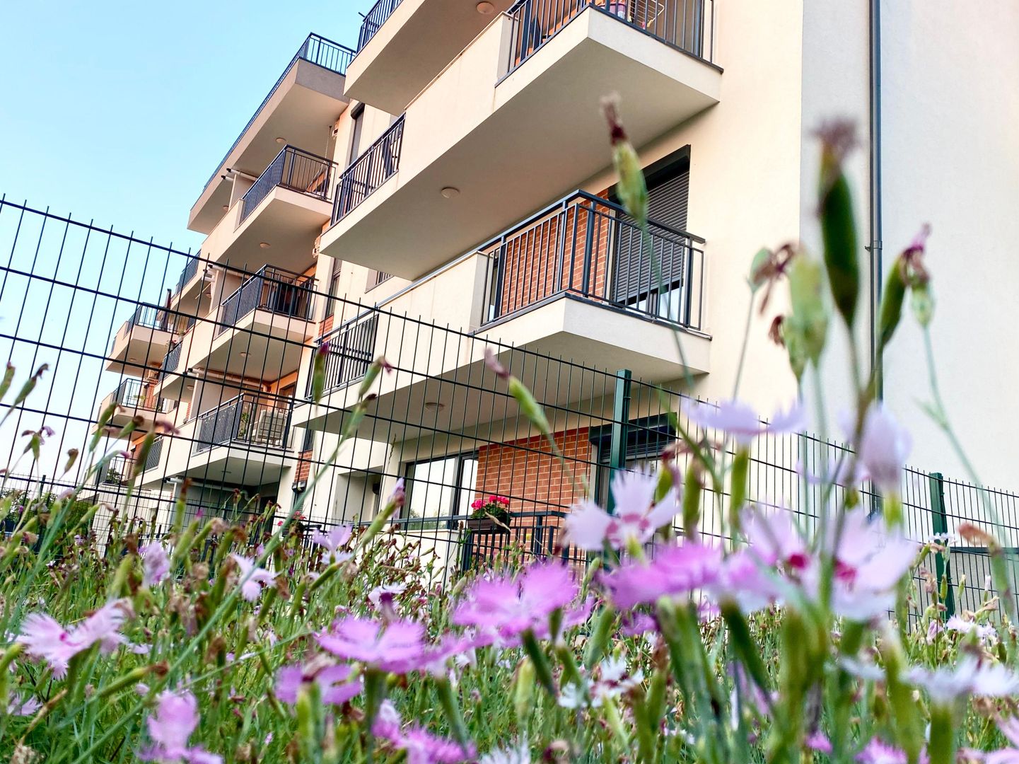 Apartament 3 camere cu Gradina si Terasa. Sibiu - Poză 5