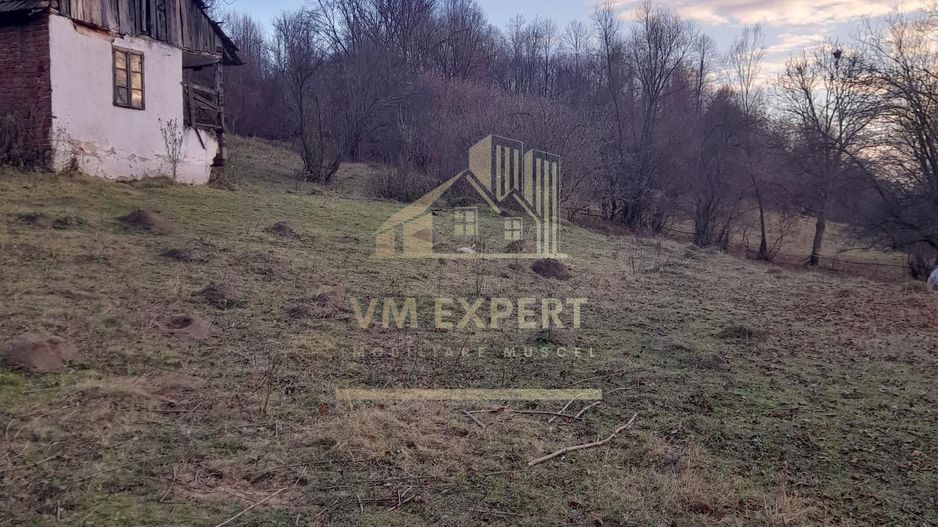 TEREN INTRAVILAN 5461 MP, BUGHEA DE JOS, ARGES - Poză 8