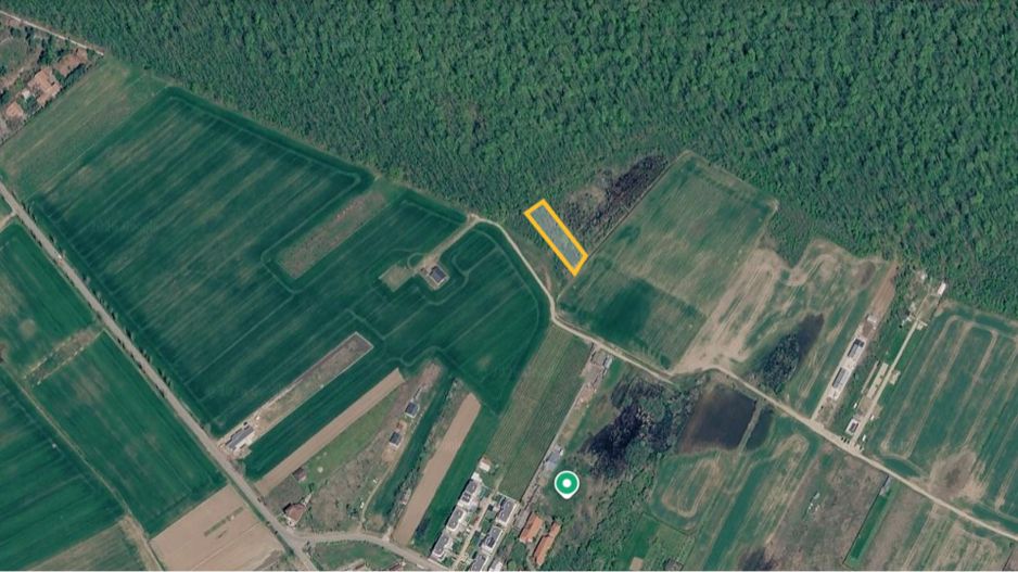 Vanzare Teren Intravilan Padure Izvorani (prin) Strada Florilor - Poză 1