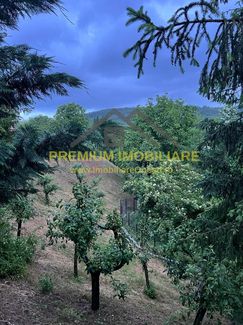 Casa de Vanzare - Caiuti - Blidari - Poză 10