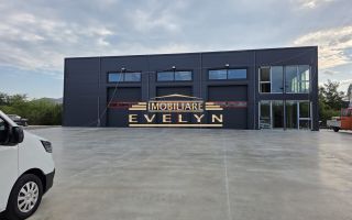 Teren 3.500 mp cu hală 320 mp – Zona Mănăstirea Doamnei, Strada Principală - Poză 1