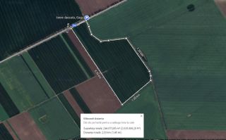 Teren 25.26ha Dascalu / DJ 200 - Poză 1