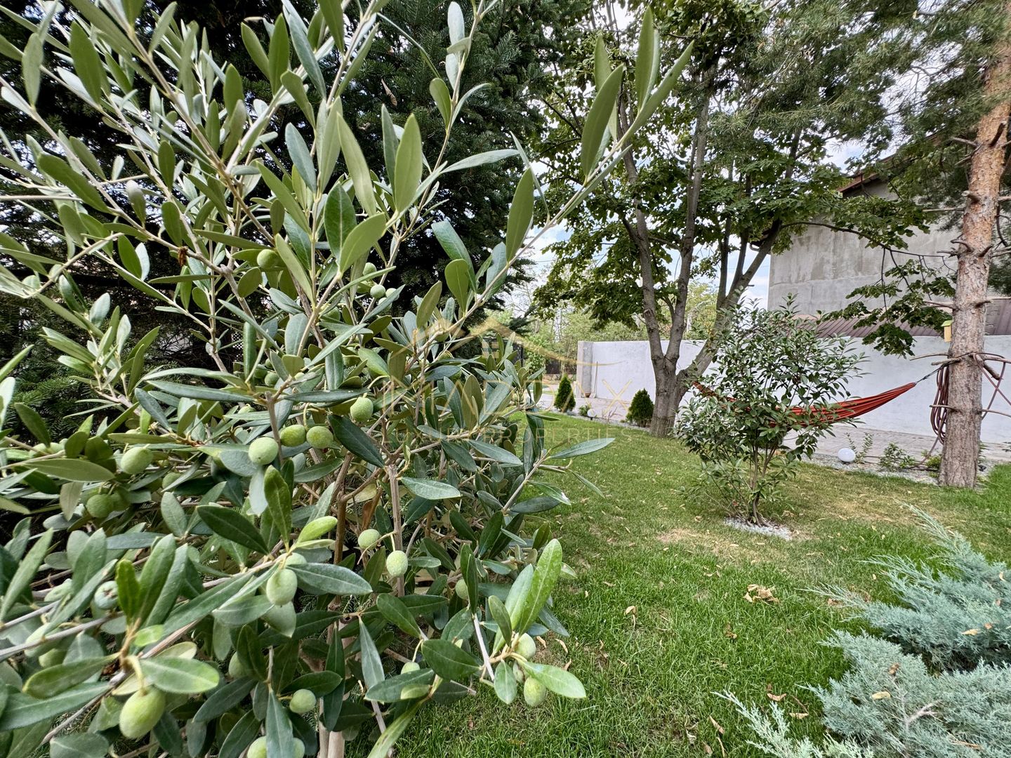 Vila cu 5 camere // * 565 mp gradina* // Tunari - Poză 98