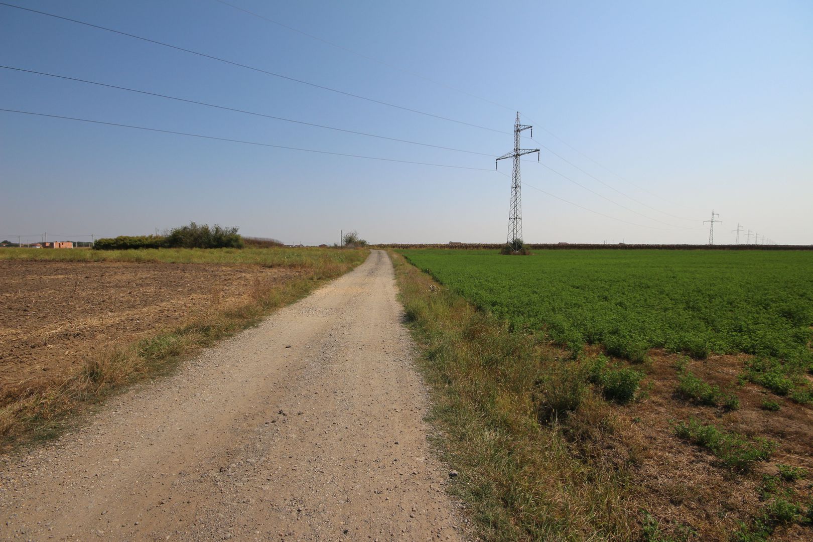 Teren arabil 3 ha - Sacalaz - Poză 1