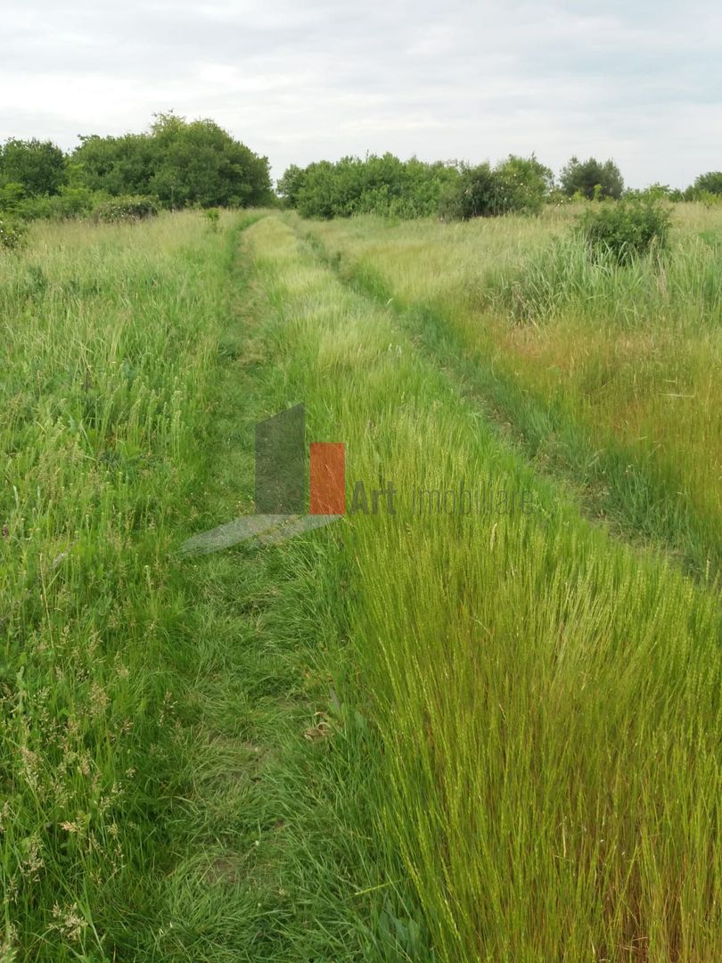 Teren cu iesire la lac - Poză 16