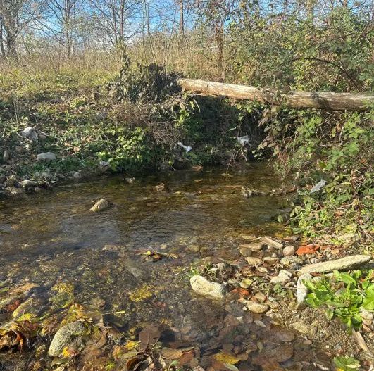 Teren mixt de vânzare Crasna Gorj, aproape de Rânca– 19.209 mp - Poză 7