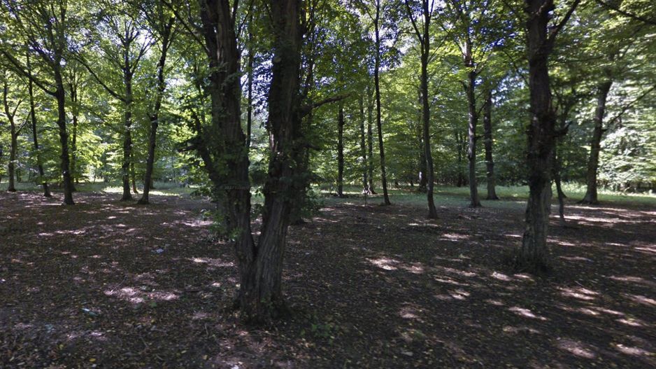 Teren de 500 mp, la marginea Pădurii Snagov - Poză 4