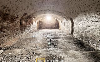 Castel istoric de vânzare în Conop | proprietatea lui Cicio Pop - Poză 6