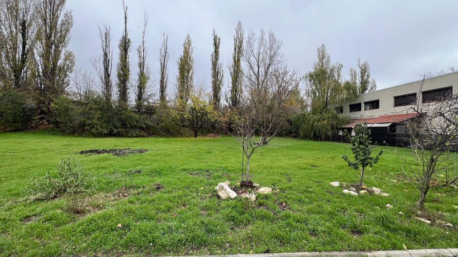 592 mp | Teren liber | Ideal locuinta | Zona pazita - Poză 8