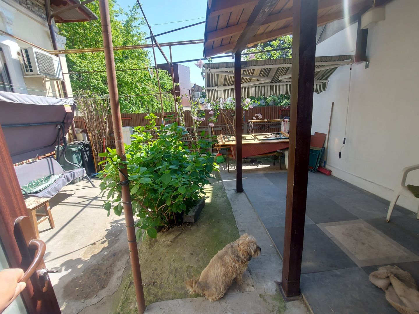 Casa curte / 2 camere / Banu Manta / Titulescu / Primăria sectorului 1 - Poză 20