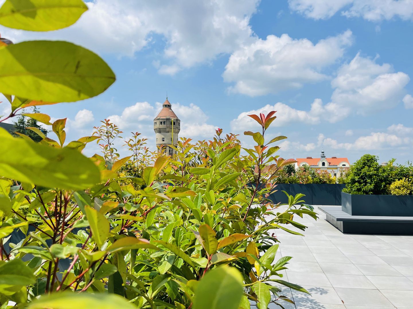 OFERTA VANDUTA - Direct Dezvoltator | Apartament 2 camere 58.3 mp | ESSENZA - Poză 4