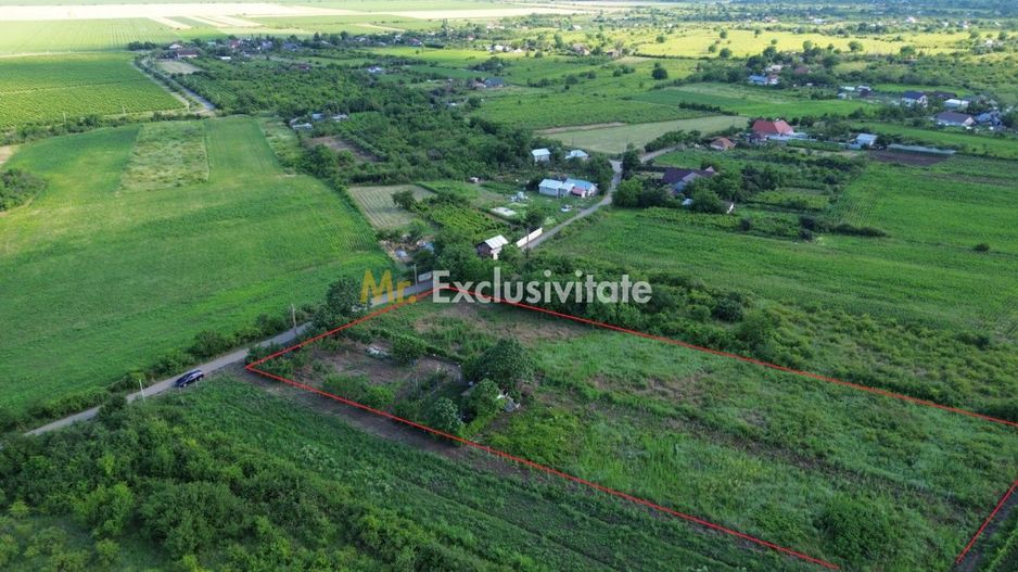 Teren Urlați / Investitie / 5.555 mp pe Traseul MARVIN si Drumul Vinului - Poză 5