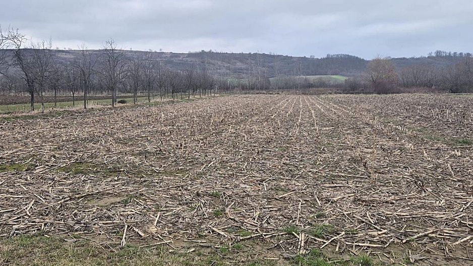 Casa cu teren 4000 mp in Bogei, Bihor - Poză 7