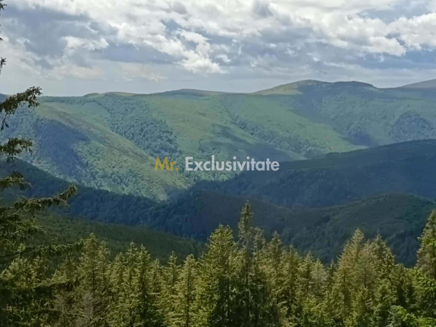 Cabană P+M de vânzare în Rânca - Poză 27