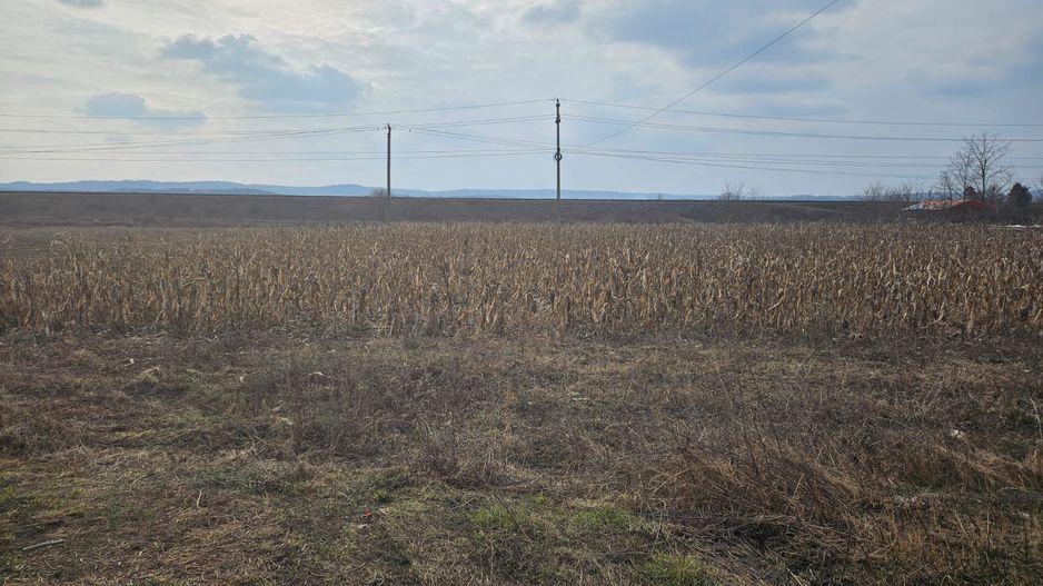 SUPEROFERTA !!! Teren 8000 mp,  Merisani, langa DN si Autostrada - Poză 8