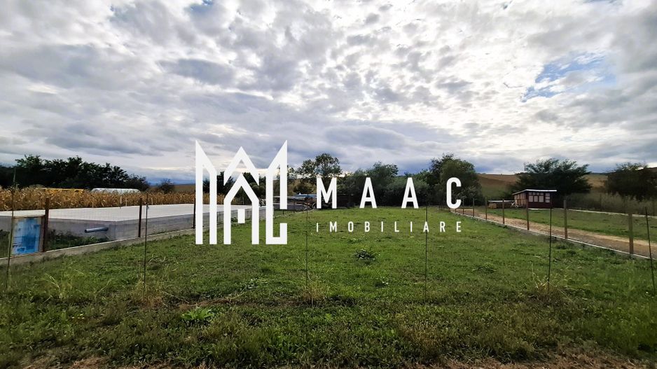 Teren intravilan | 550 mp | Hamba - Poză 2