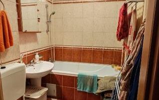 Apartament 2 camere Parcul Circului, parter, vedere spre parc - Poză 3