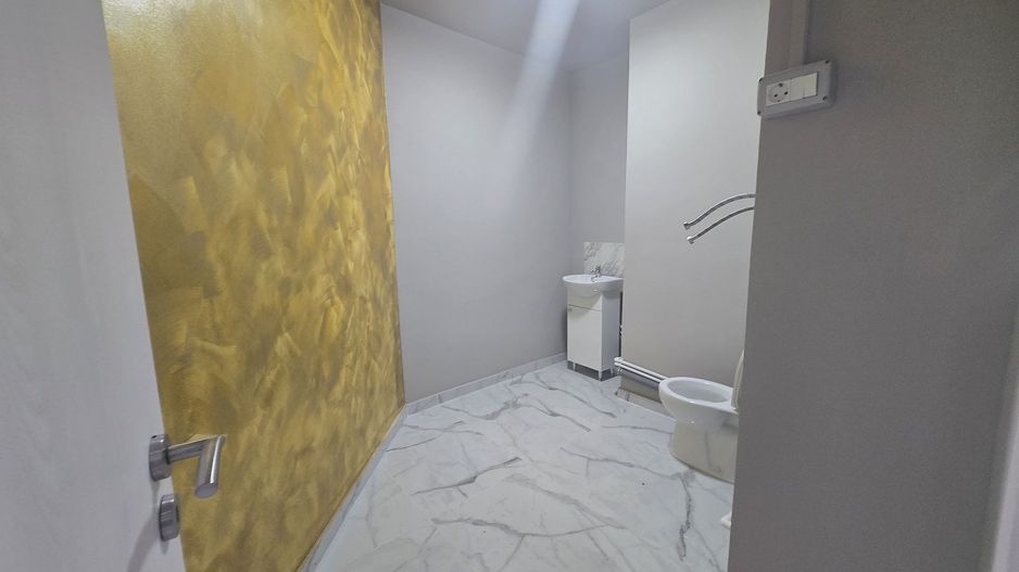 Spatiu comercial 101mp Dristor McDonald's Metrou Stradal Camil Ressu - Poză 9