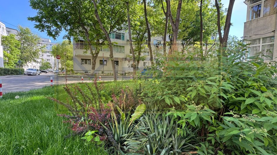 Apartament 2 camere decomandat Nicolina-Hlincea - Poză 22