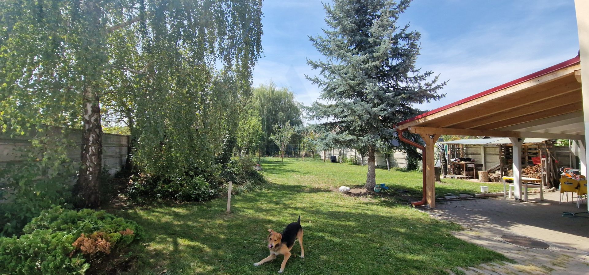 Casa individuala, 195 mp utili+ 500 mp curte, Sura Mica - Poză 2