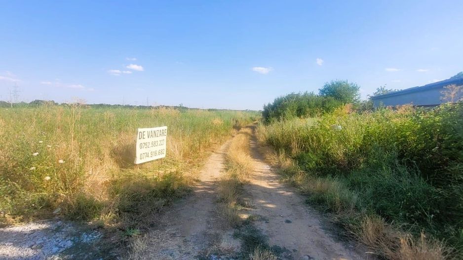 Teren Cernica Lebada Investitie Comision 0% - Poză 2