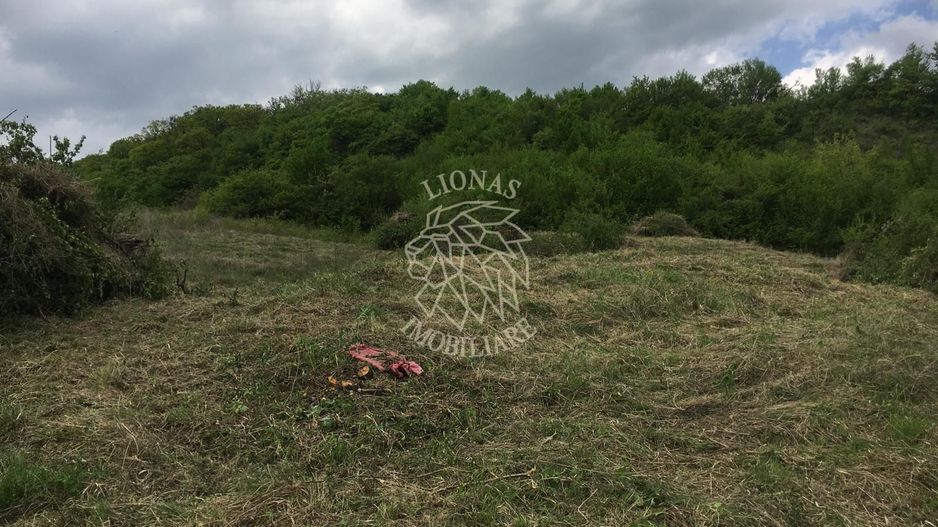 Teren intravilan 700 mp-ideal casa-Dealul Jelnei - Poză 2