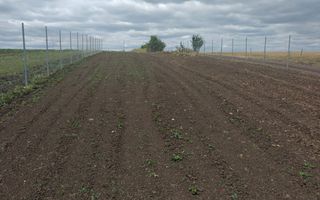 Teren Extravilan 800 mp I Front Stradal 60 m I Sura Mică I Sibiu - Poză 3