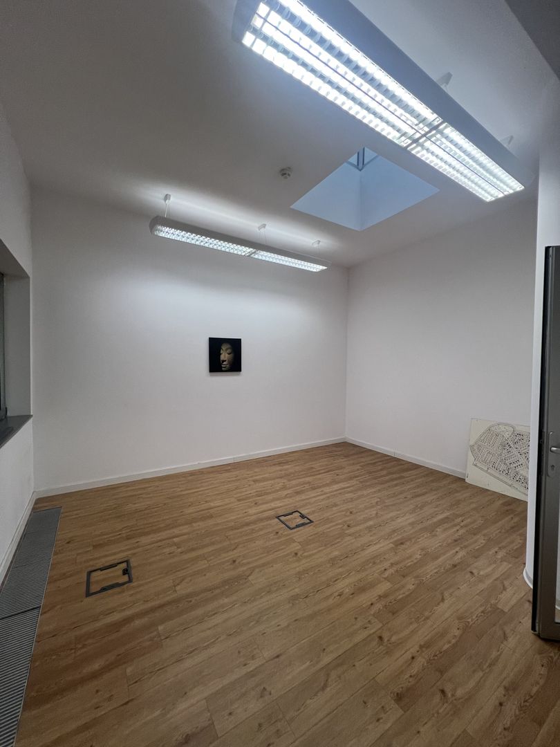 Birouri zona centrală - Poză 24