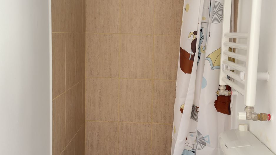 Apartament 27MP  ULTRACENTRAL Piata Unirii - Poză 7