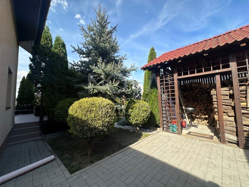 Casa individuala de vanzare - Sura Mare - Poză 3