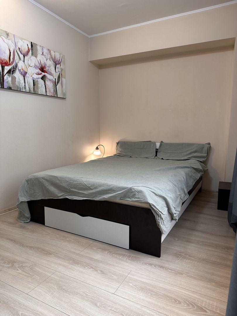 Apartament 2 camere strada Stirbei Voda nr 2 - Sala Palatului - Poză 10