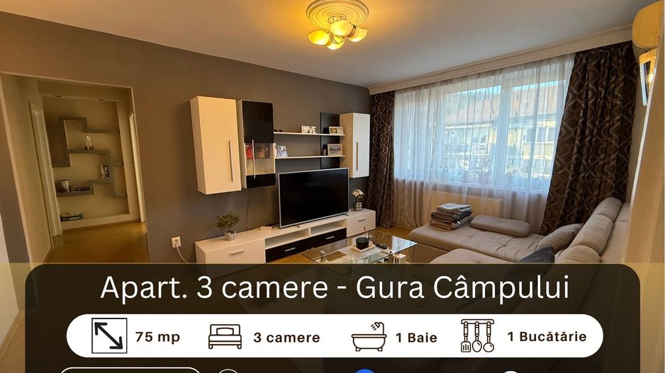 Apartament 3 camere, Medias - Poză 1