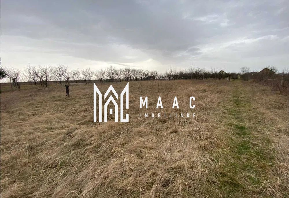 Teren Intravila | 800 mp | Daia Noua - Poză 2