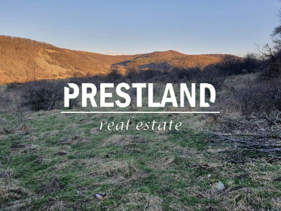 Teren 46.300 mp-zona Gușterița!! - Poză 6